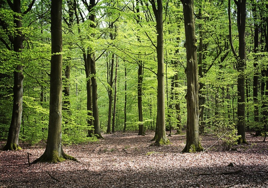 다회용기 순환 사업... 탄소중립, 저소득층 일자리 창출에 기여 썸네일