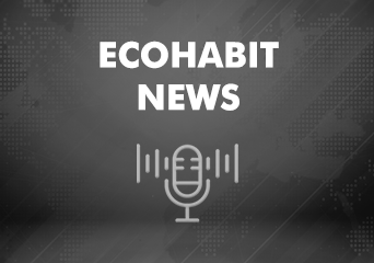 기본 뉴스 썸네일